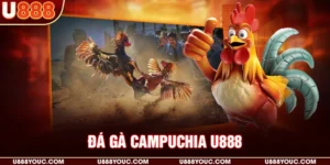 Đá gà Campuchia U888