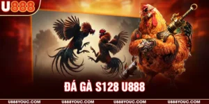 Đá gà S128 U888