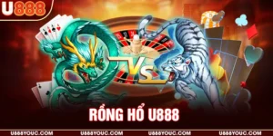 Rồng hổ U888